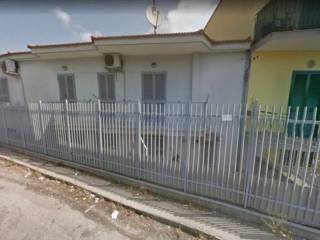Zona