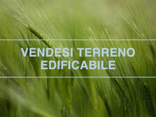 Altro
