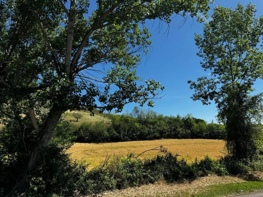 Terreno agricolo via cupello san c., pianella