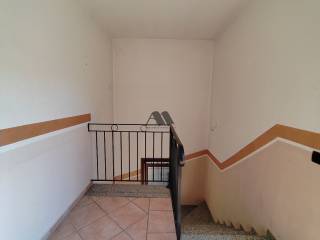 Scala