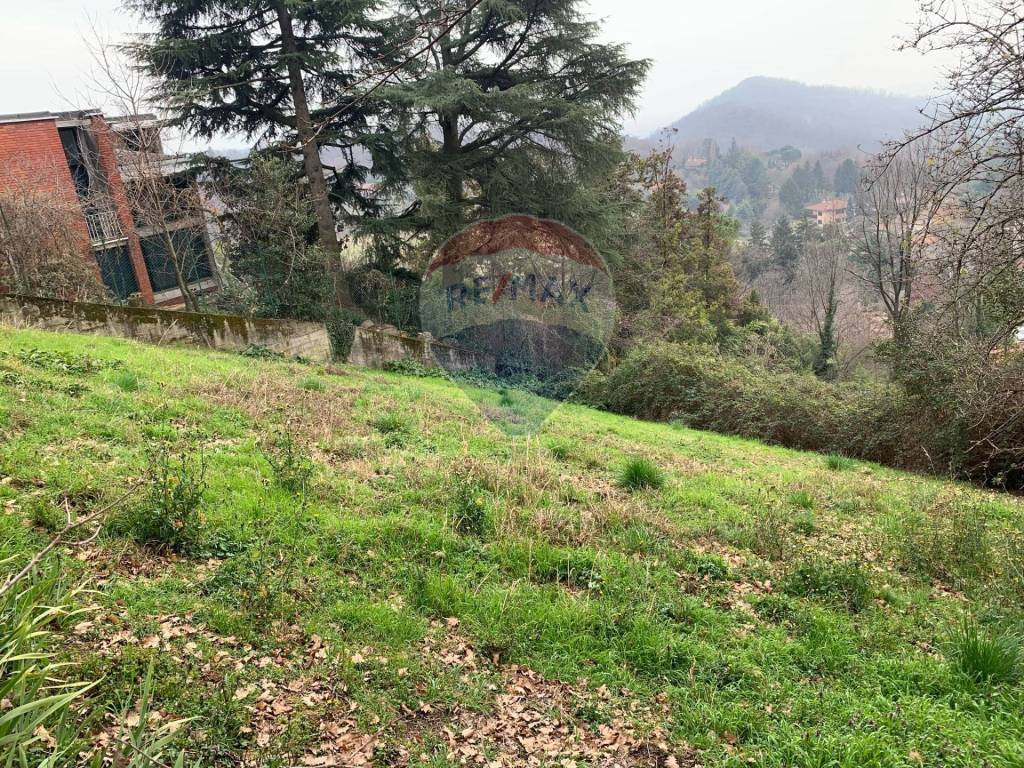 Terreno