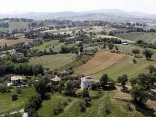 Vista