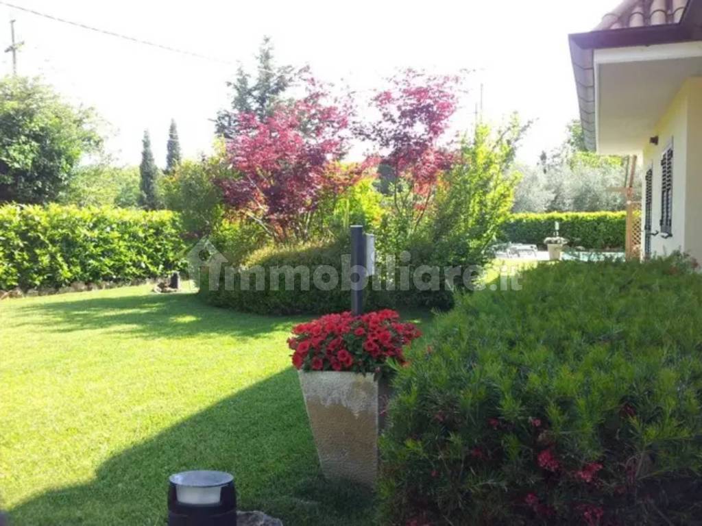 Giardino