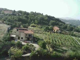 Vista