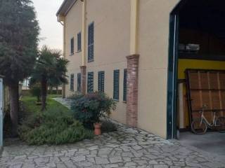 Zona