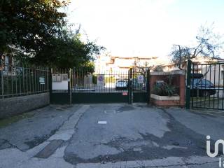 Zona