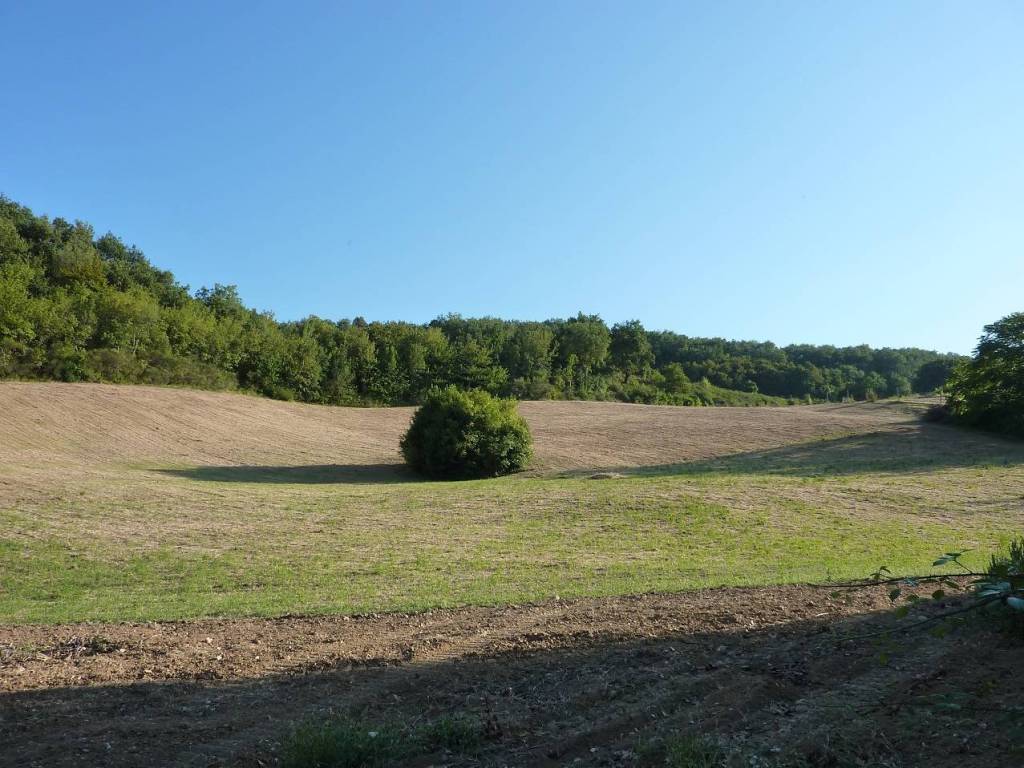 Terreno agricolo, ripatransone