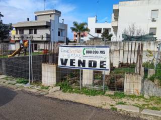 Zona