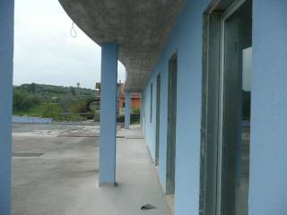 Zona