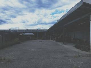 Zona