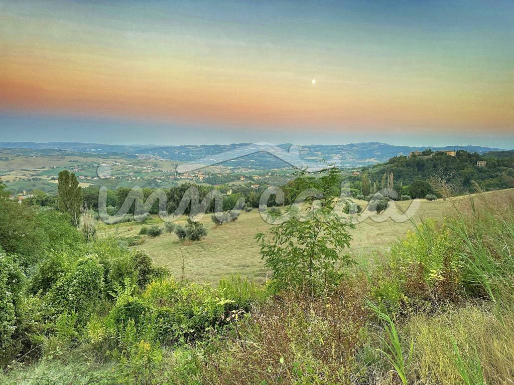 Vista