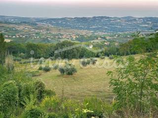 Vista