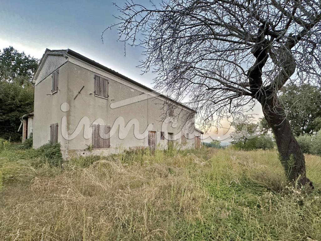 Terreno