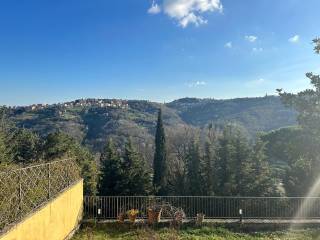 Vista