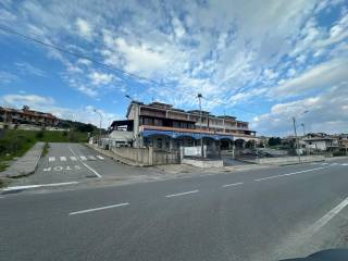 Zona