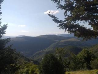 Vista