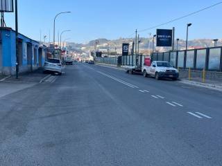 Zona