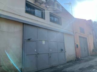 Zona