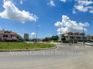 Zona