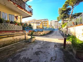 Zona