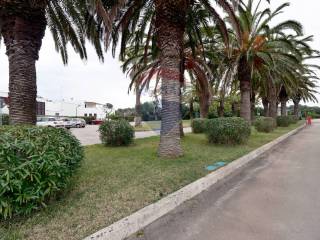 Zona