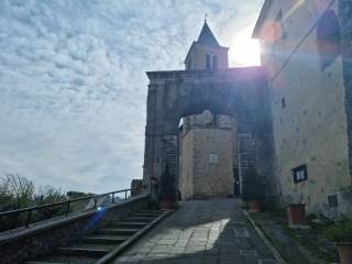 Zona