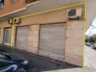 Zona