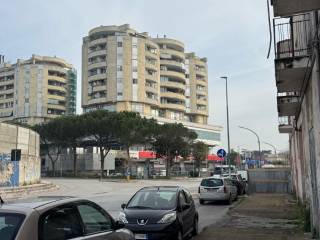 Zona