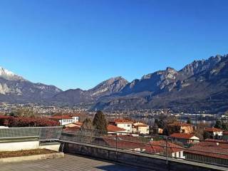 Vista