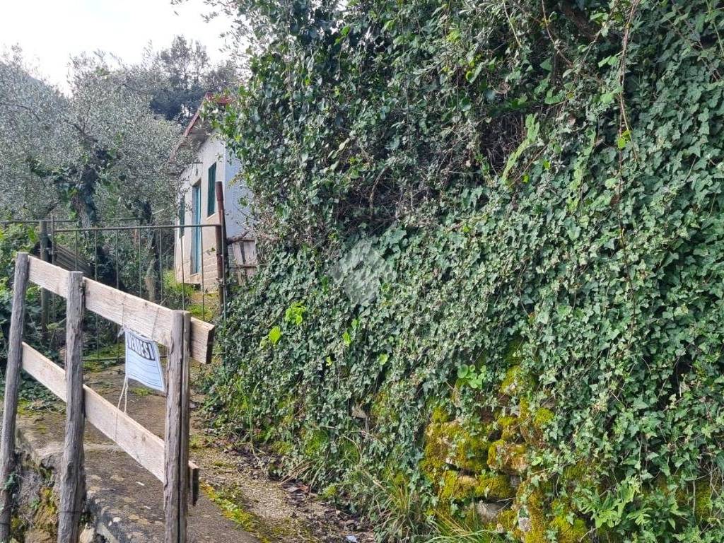 Terreno agricolo loc. arco, segni