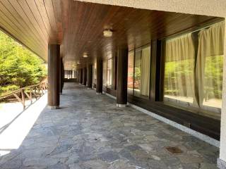 Ingresso