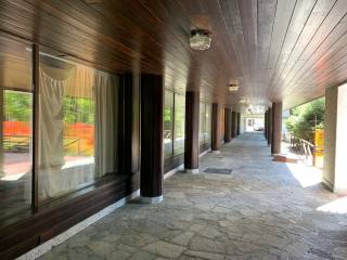 Ingresso