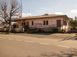 Zona