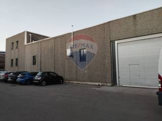 Zona