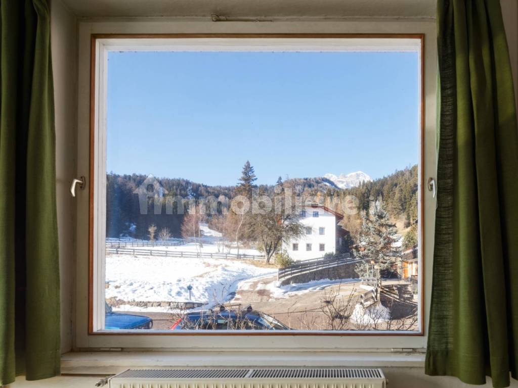 Vista