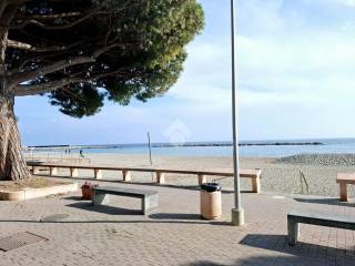 Zona