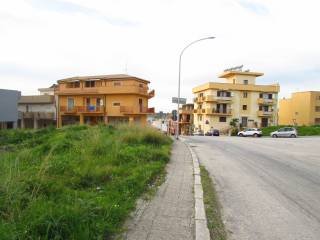 Zona