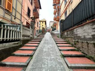 Zona