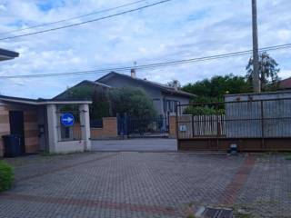 Zona