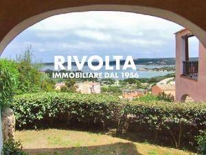 Bilocale liscia di vacca, arzachena