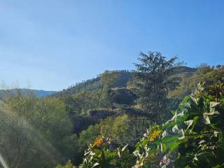Vista