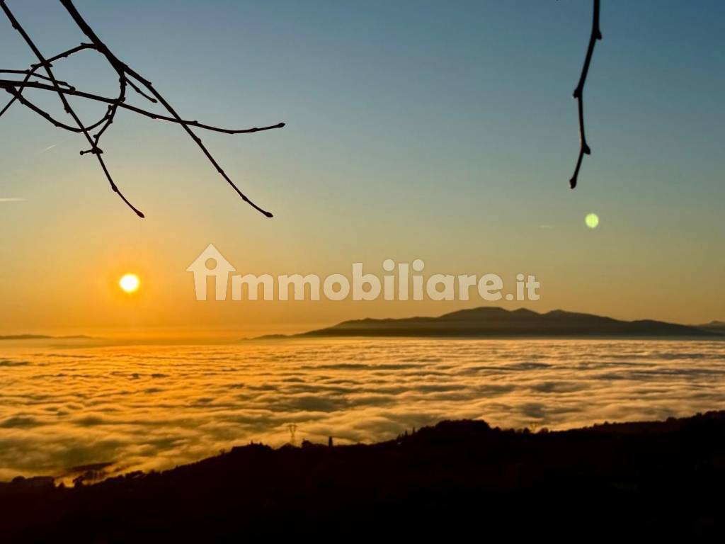 Vista
