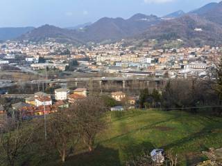 Vista