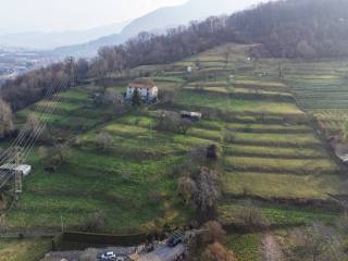 Vista