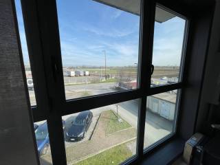 Vista