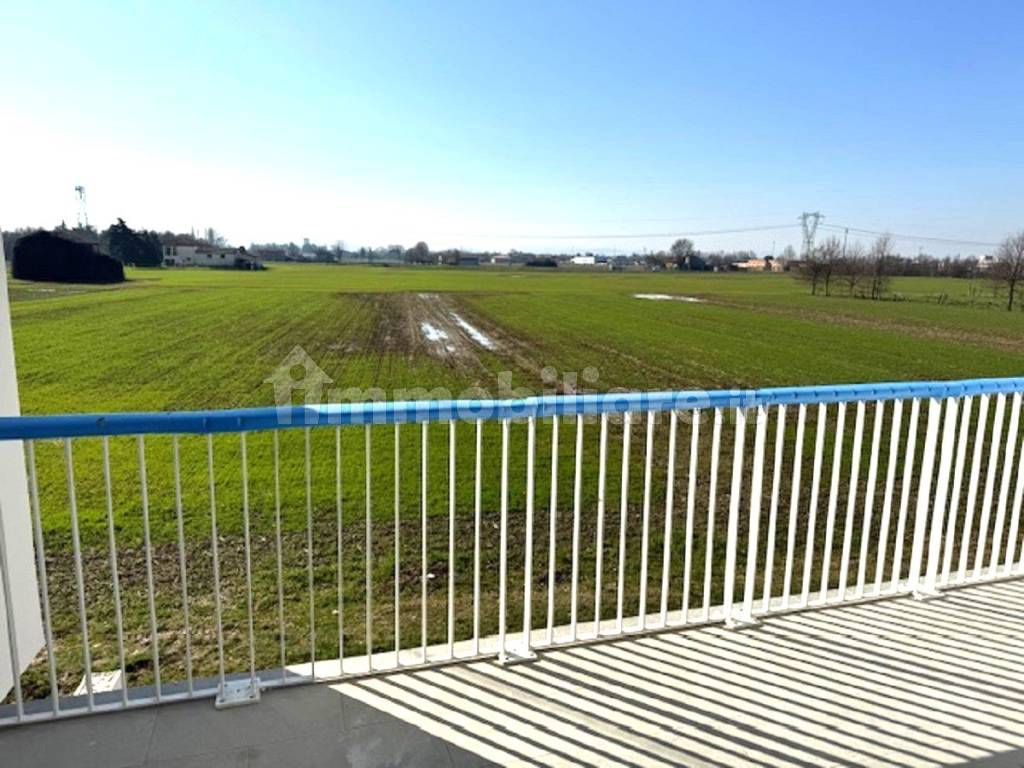 Vista