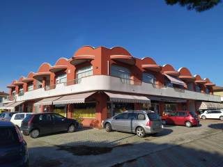 Zona