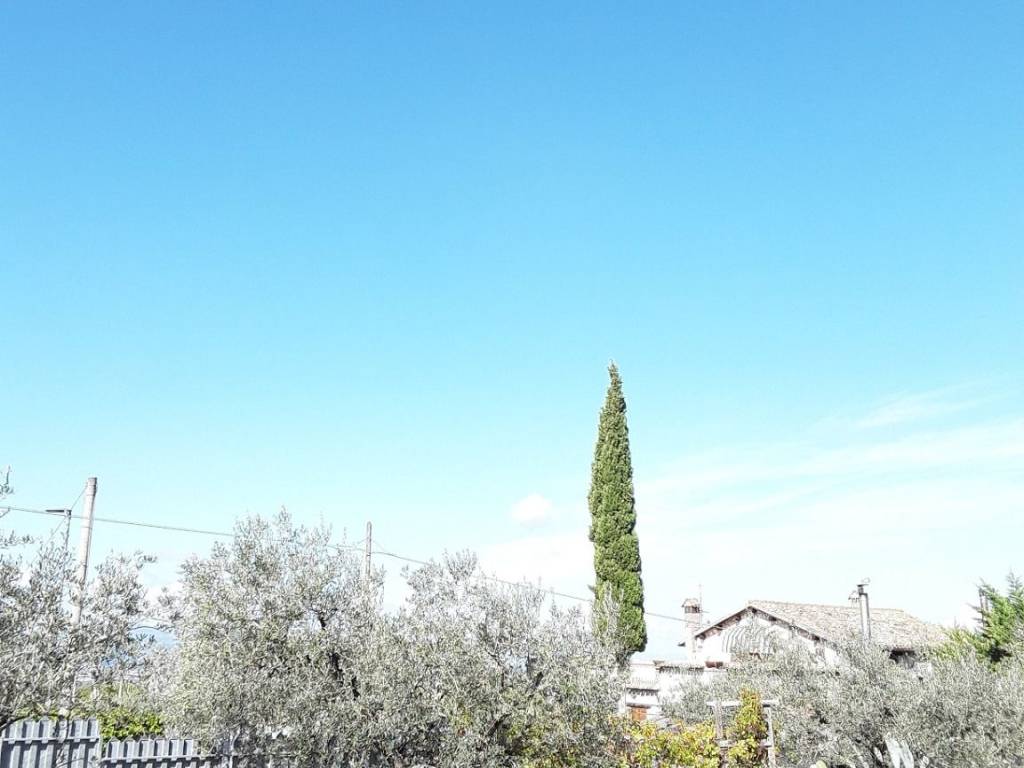 Terreno edificabile strada comunale renacci, trevi