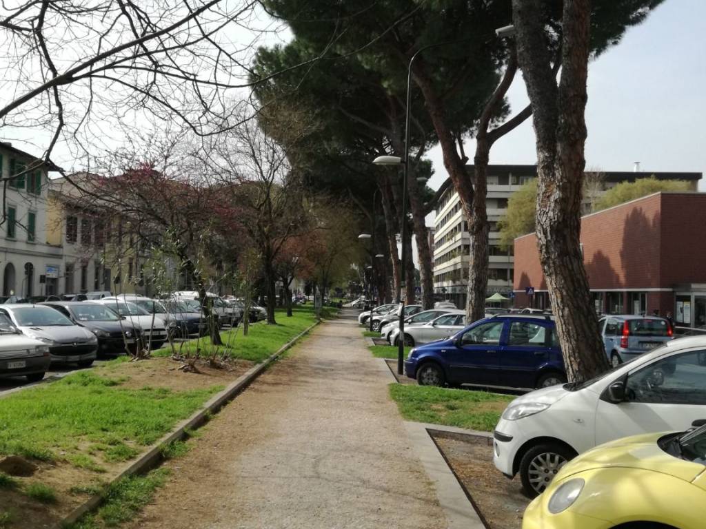 Attività commerciale viale manfredo fanti 4, campo di marte, firenze