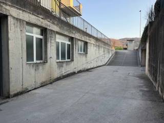 Zona